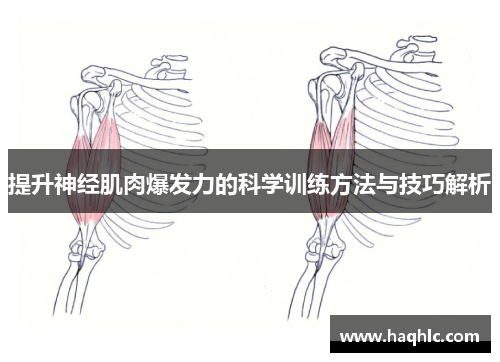 提升神经肌肉爆发力的科学训练方法与技巧解析
