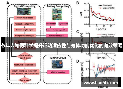 老年人如何科学提升运动适应性与身体功能优化的有效策略