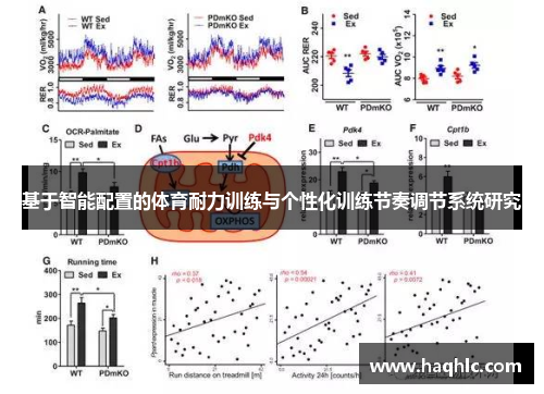 基于智能配置的体育耐力训练与个性化训练节奏调节系统研究