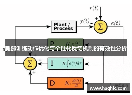腿部训练动作优化与个性化反馈机制的有效性分析